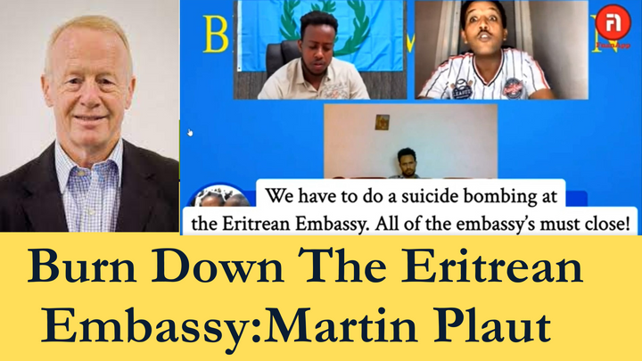 Holding Martin Plaut Accountable: Eritreans Must Take Legal Actions Against Incitement to Violence and Terrorism