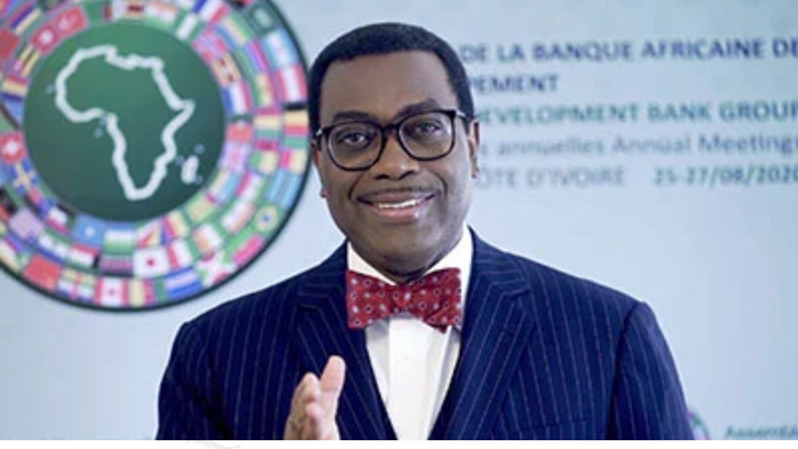 AfDB Chief's Remark on Eritrea Shatters Longstanding Misconceptions