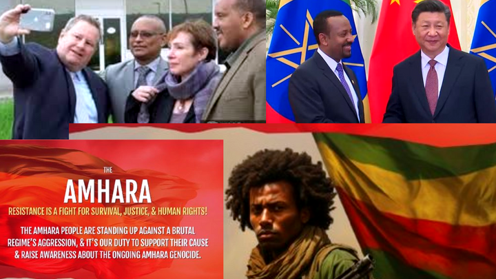Can Ethiopia Endure Under the Leadership of Abiy Ahmed Ali?